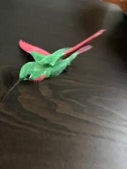 Humming bird