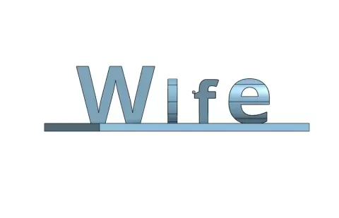 Wife / Love