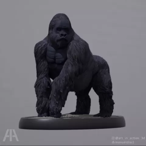 Gorilla
