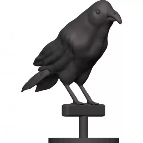 Finch