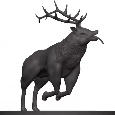 Elk