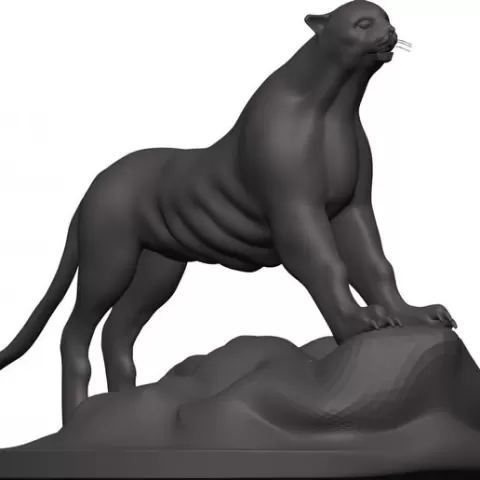 Cheetah