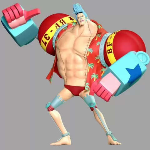One Piece - Franky - LoveModels