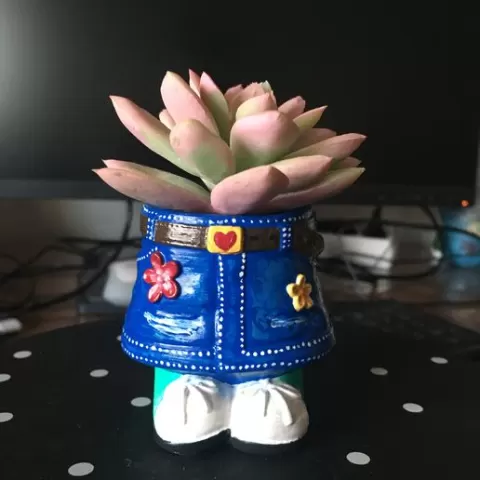 MACETERO FALDA