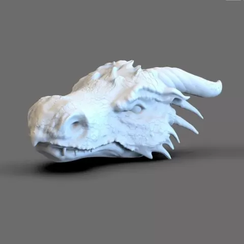 Dragon Head