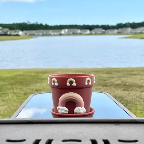 Rainbow Planter