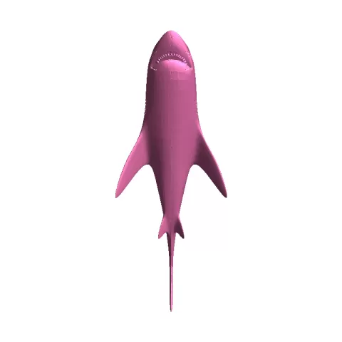 Shark