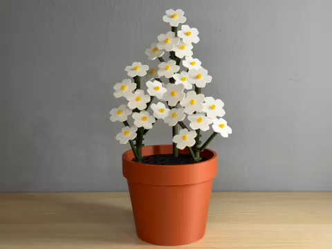Forget-Me-Nots