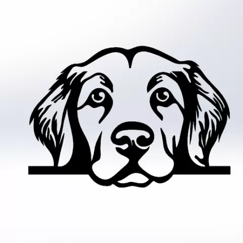 Labrador dog face - Wall Art