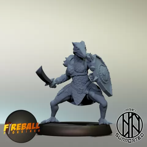 Seraphina, Female Dragonborn Paladin of Bahamut by Fireball Figurines