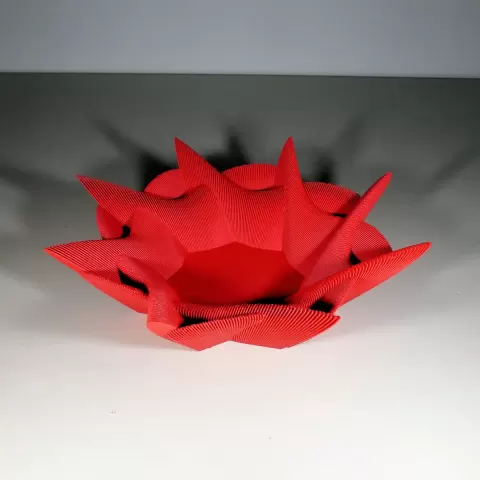Echo Bowl