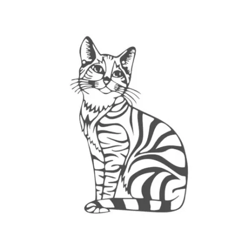 tabby cat