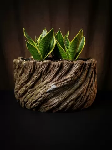 Twisted Planter | Elite Exclusive Custom Design