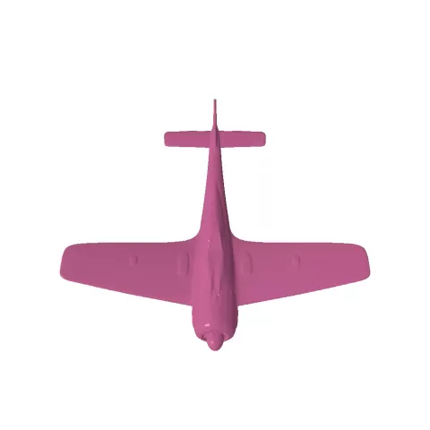 plane - Kyle Peoples