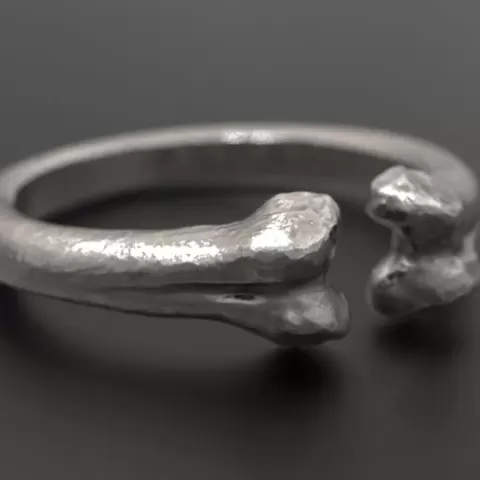 Femur Ring