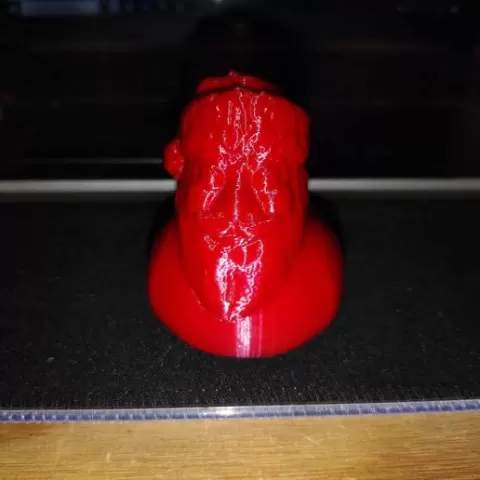 Santa Duck