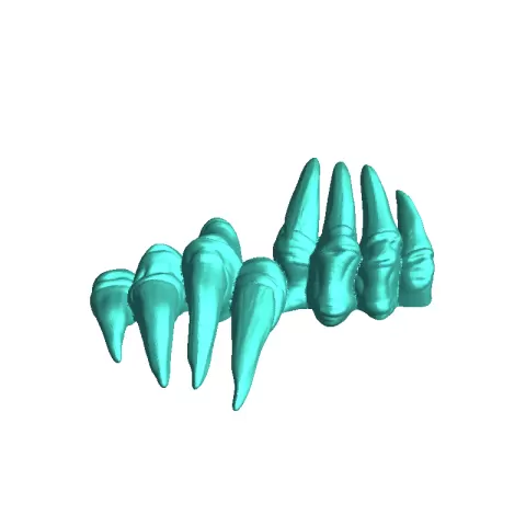 claw end - Mayaun111