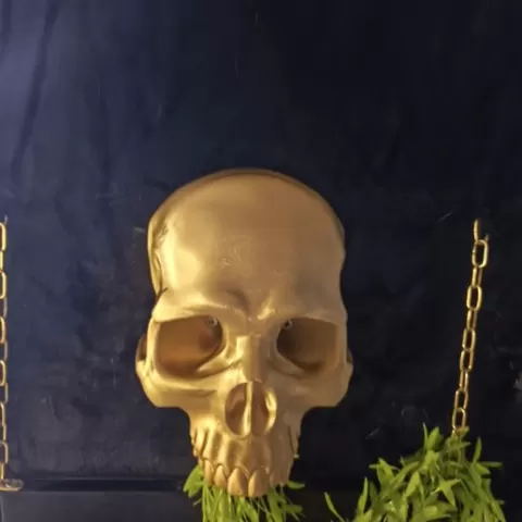 Wall Decoration Skull