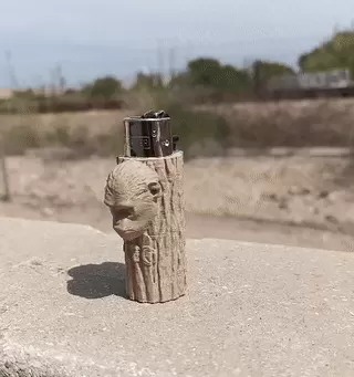 Cesar Lighter Clipper Case