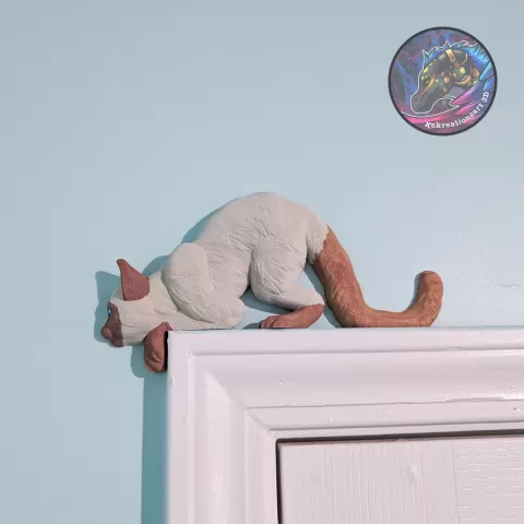 door frame cat