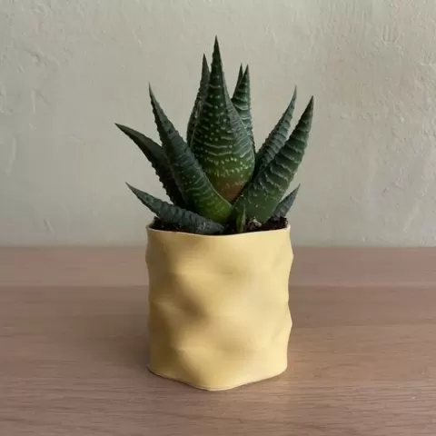 New Wave pot