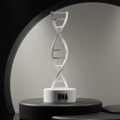 DNA Table model