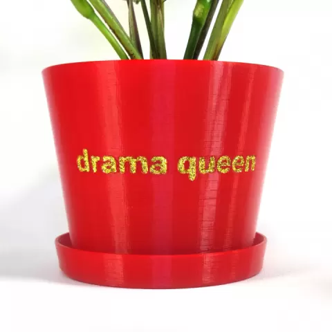 "Drama Queen" Plant Pot - With or Without Drainage and Saucer by TheArgentRose