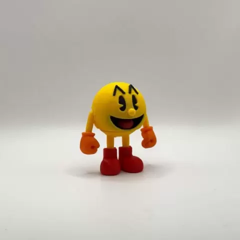 New PacMan Flexi!
