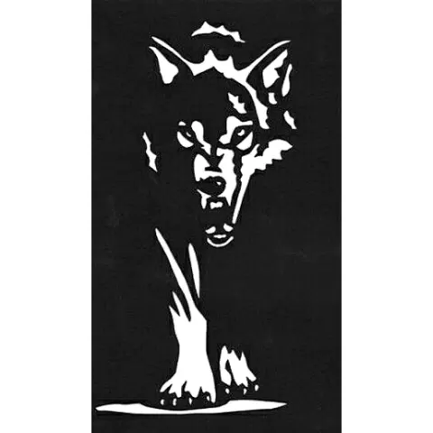 Wolf attack