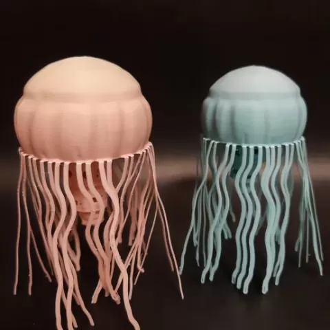 JellyFish Simple Flexi