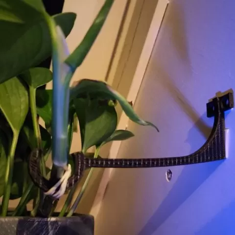 Plant holder