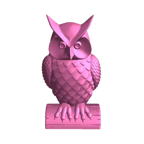 owl