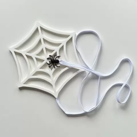 Spider web with spider
