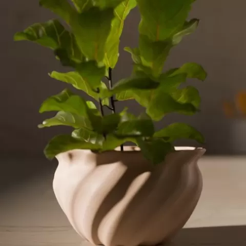 Collection 5 Pots and a Vase