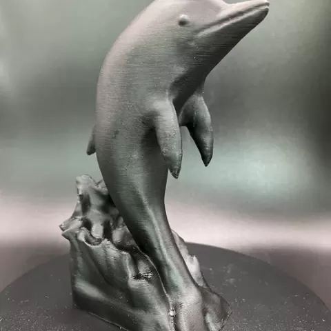 Dolphin