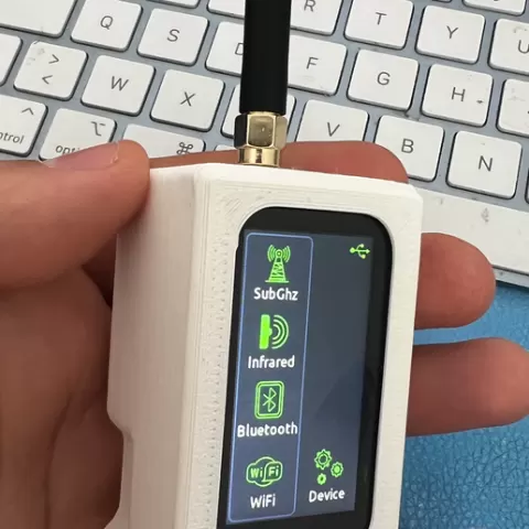 willy case