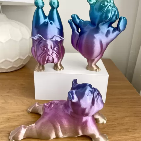 English Bulldog Yoga Pose Set of 3 by IK3D