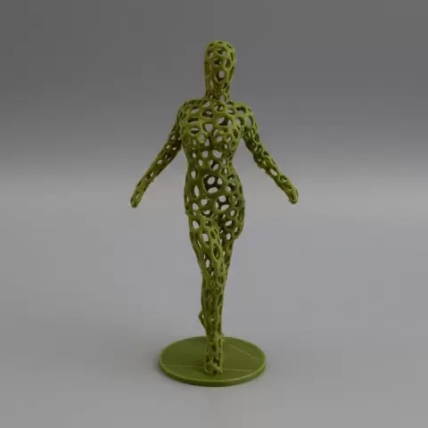 human body by and CRAFT 3D