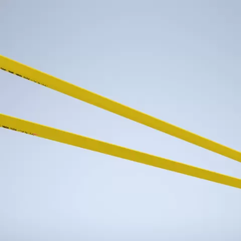 Flexible rods