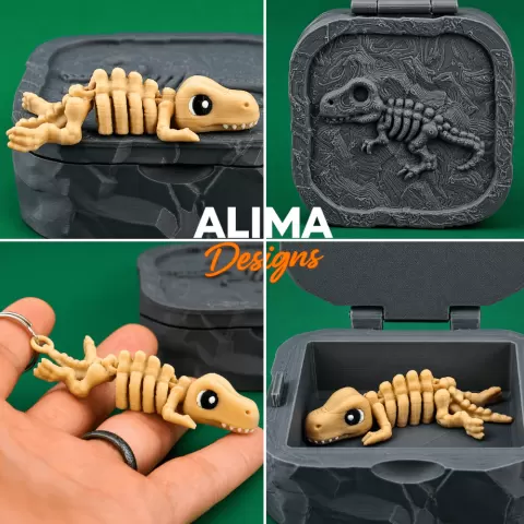 Skeleton T-Rex with Box