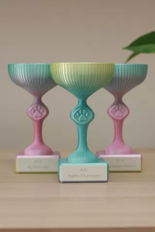 VICTORY PAW TROPHY