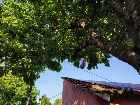 Pinecone Birdhouse