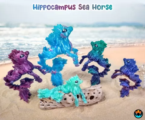 Hippocampus