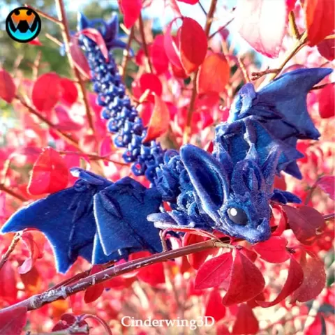 Nightwing Dragon