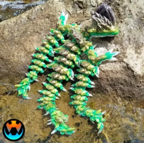 Jellyfish Dragon