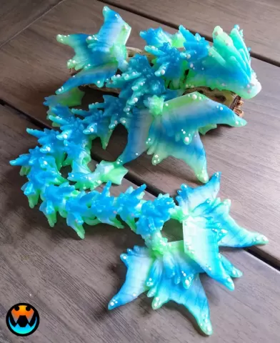 Ocean Dragon