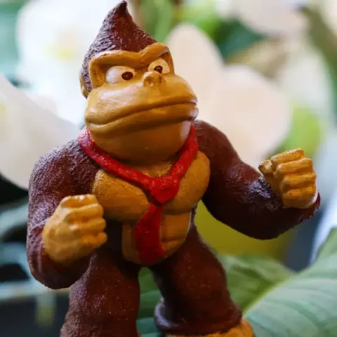 Donkey Kong