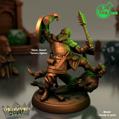 Hack, Dwarf tavern fighter by TPK Lab