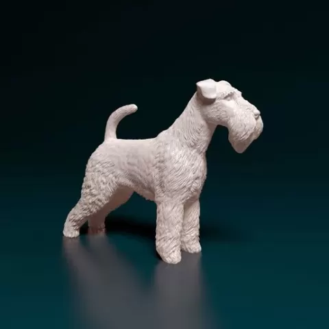 Welsh terrier dog
