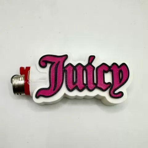 Juicy lighter case